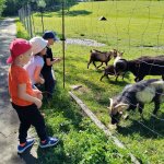 phoca_thumb_m_veverky u rybnka 5 Fotogalerie